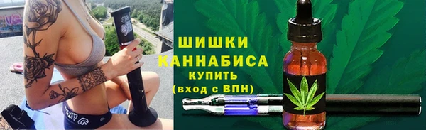 ПСИЛОЦИБИНОВЫЕ ГРИБЫ Вязьма