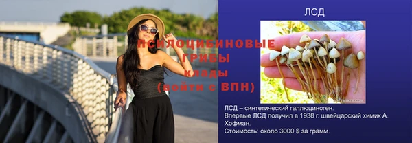 кристаллы Вяземский