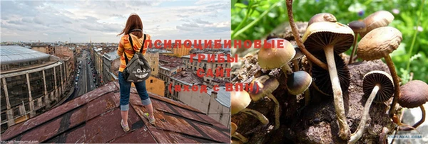 кристаллы Вяземский