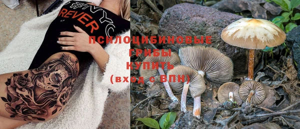 ПСИЛОЦИБИНОВЫЕ ГРИБЫ Вязьма