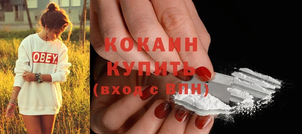 ПСИЛОЦИБИНОВЫЕ ГРИБЫ Вязьма