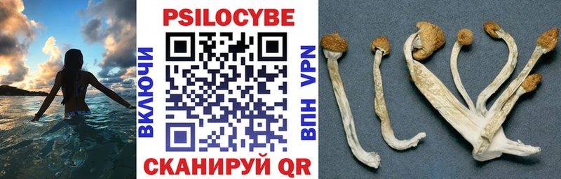 что такое наркотик  Симферополь  Галлюциногенные грибы Cubensis 